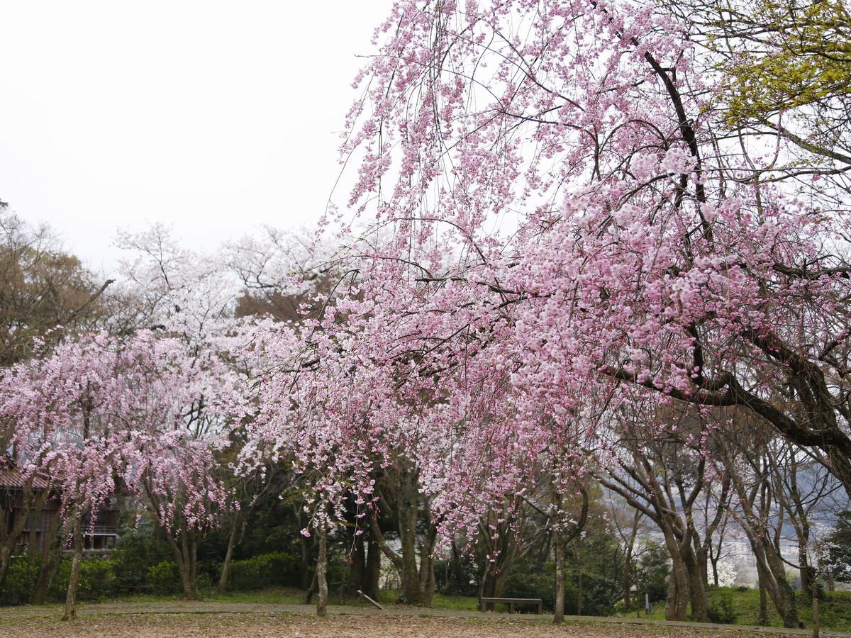 Yamashiro Onsen Midori No Yado Bansyoukaku Ξενοδοχείο Kaga  Εξωτερικό φωτογραφία